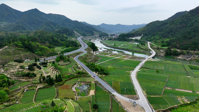 浙農(nóng)浙貝母雨涛、杭白菊基地通過(guò)中藥材GAP延伸檢查